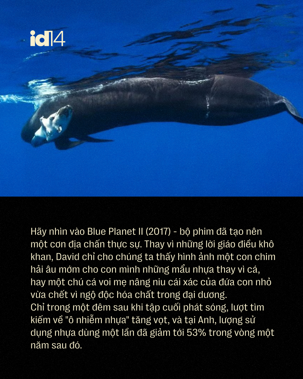 Sir David Attenborough: 100 năm sống, 70 năm làm phim tài liệu và một 
