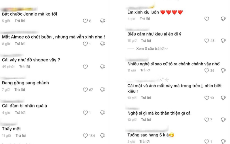 Netizen tranh cãi về tạo hình cũng như thái độ của AMEE tại sự kiện.