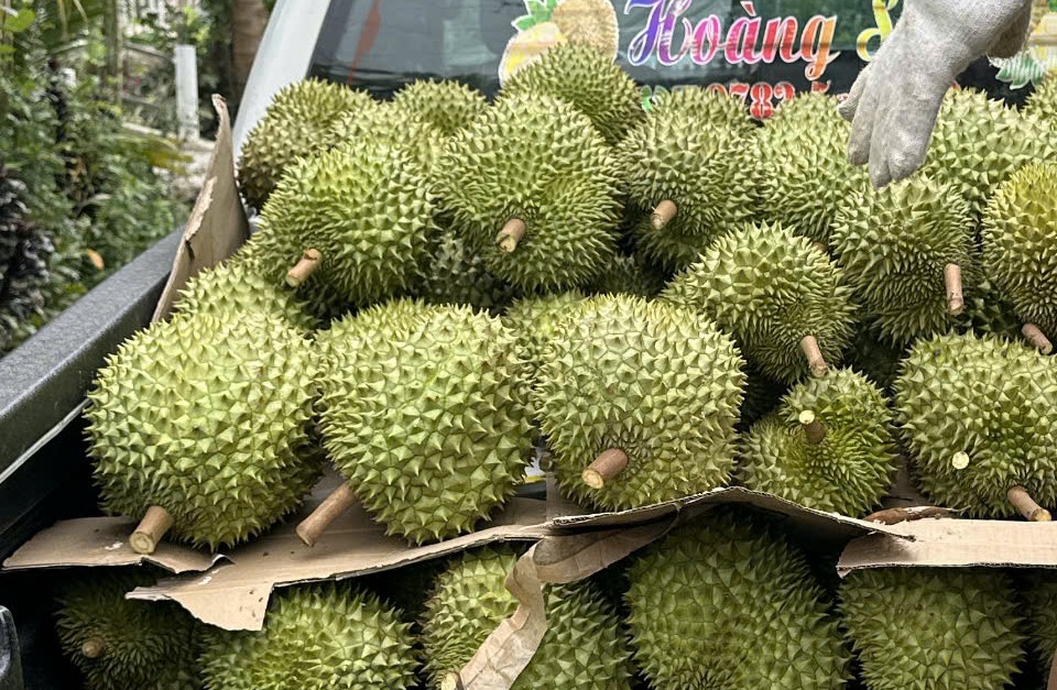 Lời khuyên khi mua sầu riêng