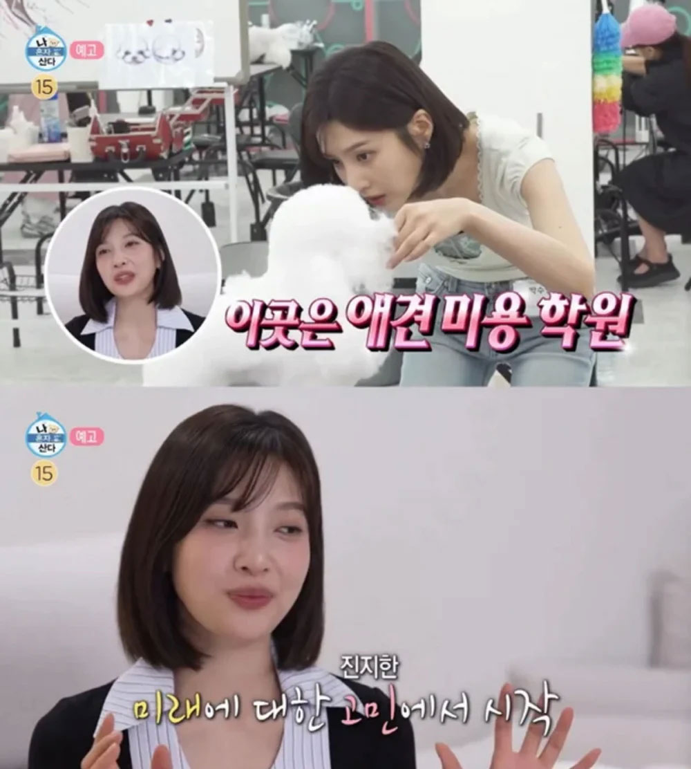 Joy học chứng chỉ chăm sóc thú cưng sau khi cân nhắc về tương lai trong ngành giải trí. Ảnh: Allkpop