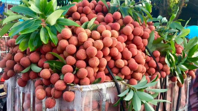 6 loại quả mùa hè bước vào chính vụ, vừa rẻ vừa ngon, cứ ra chợ là mua được