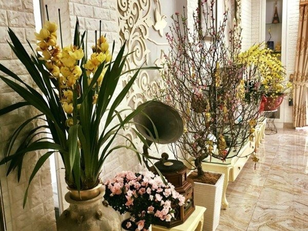Nữ NSND tái hôn với tài tử điện ảnh: Hôn nhân viên mãn ở tuổi 60, sở hữu toàn cơ ngơi khủng