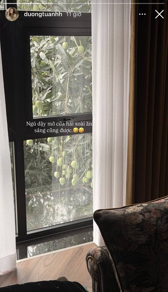 Á hậu Dương Tú Anh gia nhập 