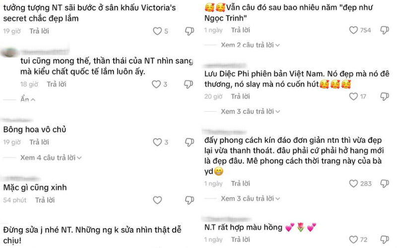 Netizen dành nhiều lời khen cho visual của Ngọc Trinh, ví cô như 