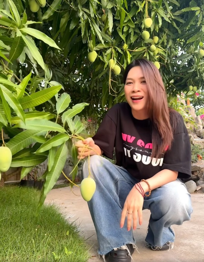 Thứ trái cây rẻ bèo được giới nhà giàu mê nhất hiện tại: Tăng Thanh Hà, Mỹ Tâm, Doãn Hải My trồng kín biệt thự