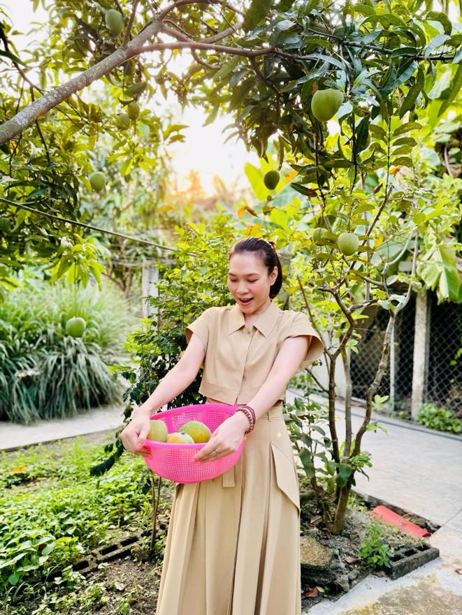 Nữ ca sĩ trồng nhiều giống xoài khác nhau