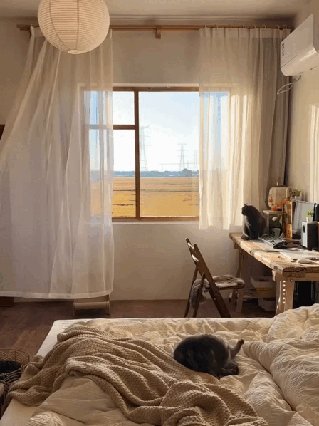 Chàng trai 9x sửa nhà khiến cả cõi mạng chú ý: View cánh đồng chill không thể tả, nhìn muốn bỏ phố về quê