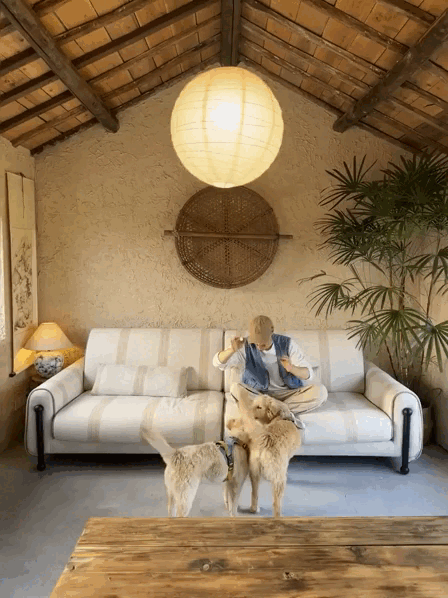 Chàng trai 9x sửa nhà khiến cả cõi mạng chú ý: View cánh đồng chill không thể tả, nhìn muốn bỏ phố về quê