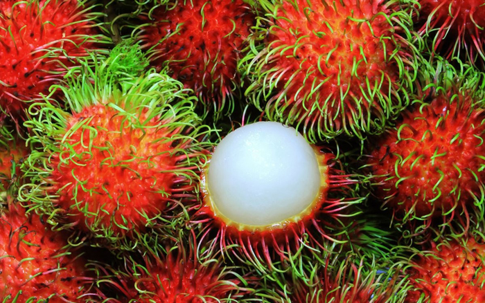 Top 9 loại quả mùa hè vừa ngon vừa rẻ, cứ ra chợ là mua được