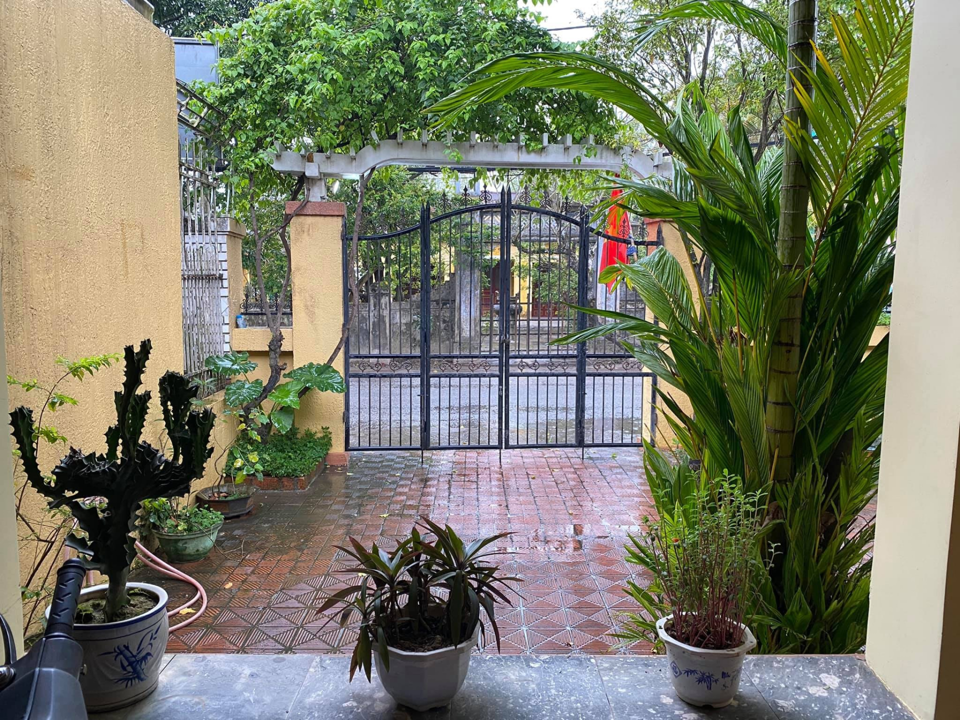Ngôi nhà ở trung tâm TP Huế của Long Nhật