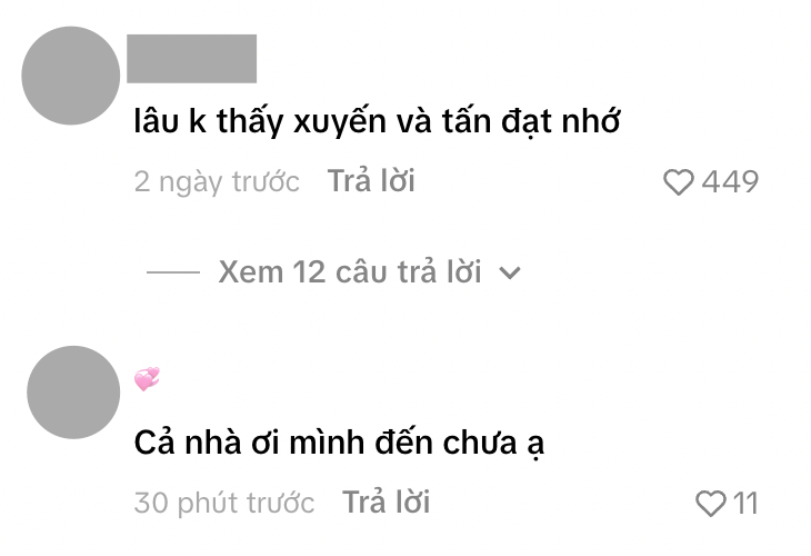 Những bình luận thắc mắc về sự im lặng của các TikToker này