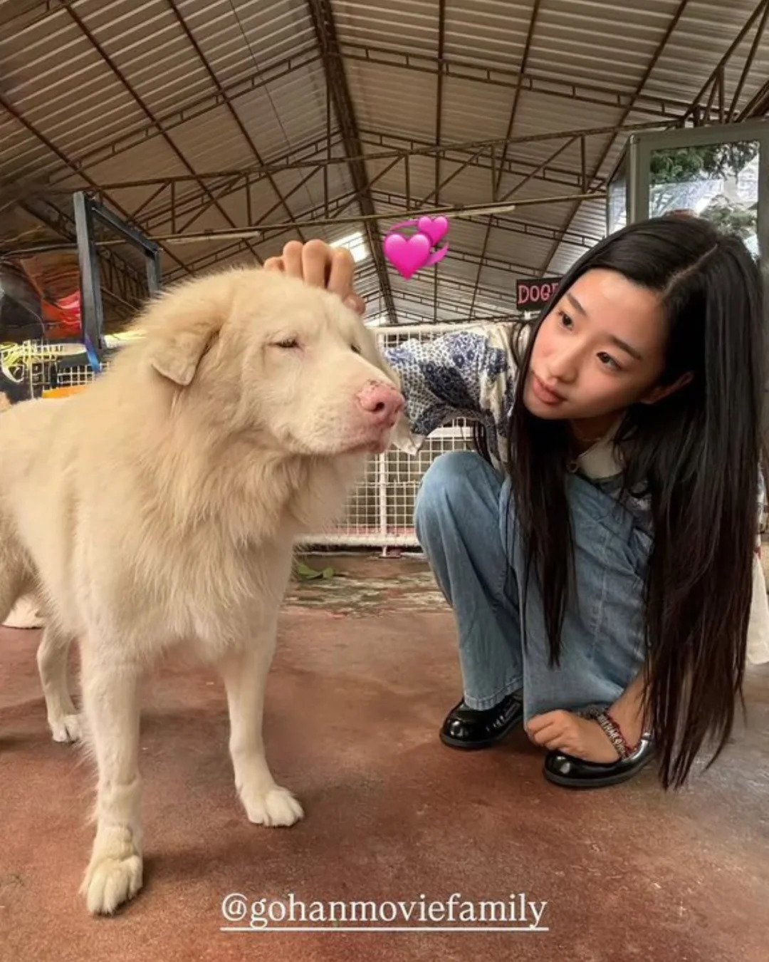 Tu Tontawan gây ấn tượng cạnh chú chó trắng Gohan