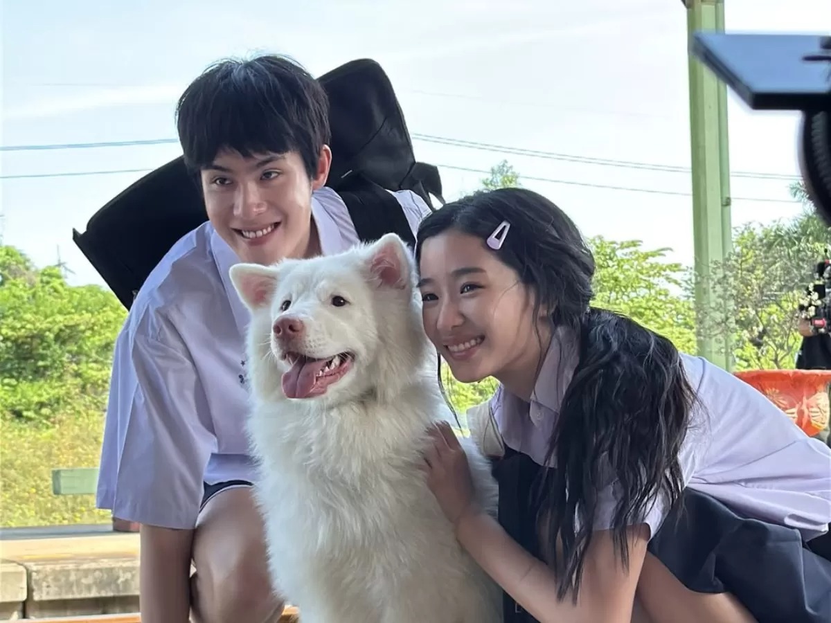 Mỹ nhân làm đứt chuỗi phim Việt top 1 phòng vé suốt 87 ngày, thở thôi cũng khiến cả nước ghét bỏ