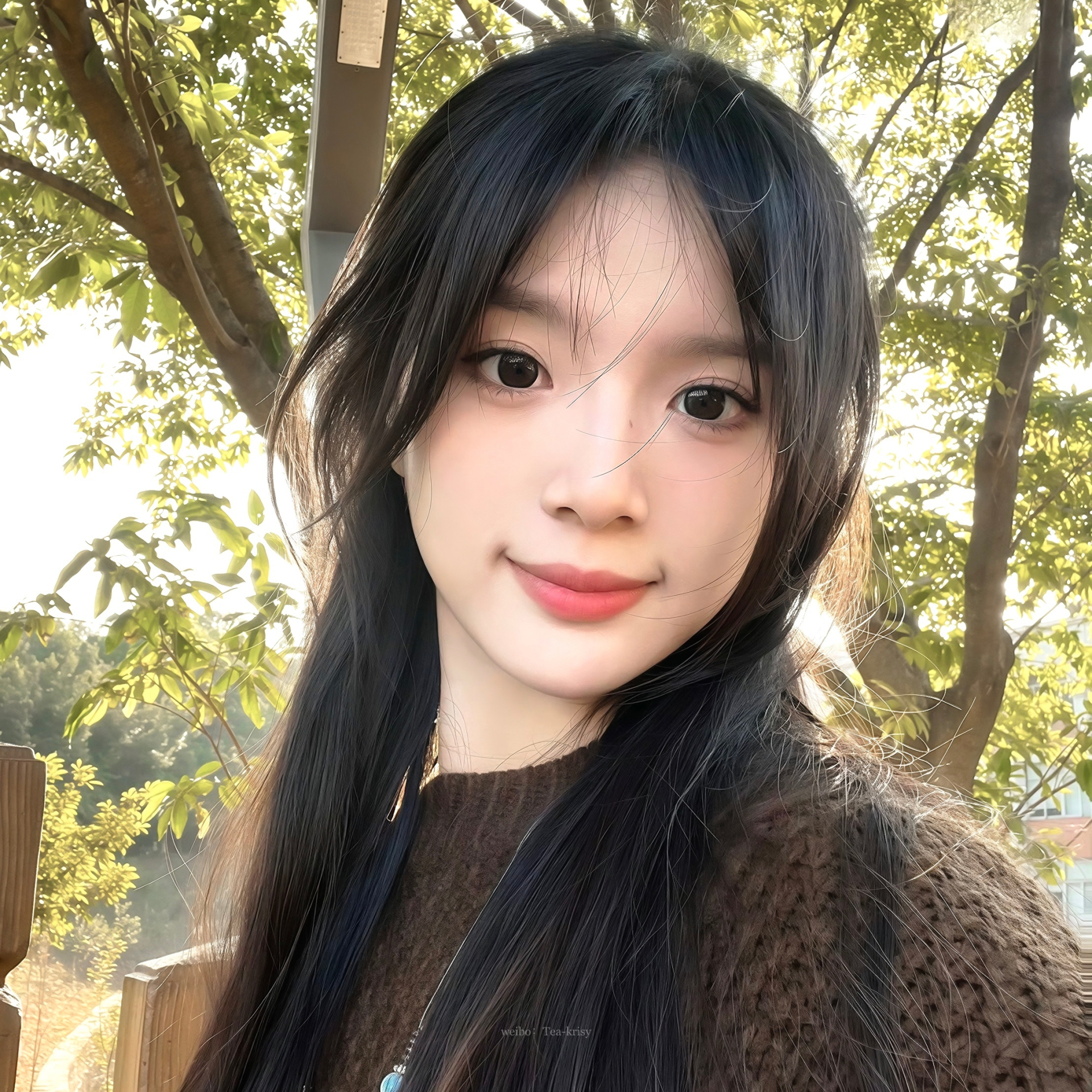 Mỹ nhân 2004 khiến trật tự tiểu hoa đán đảo lộn