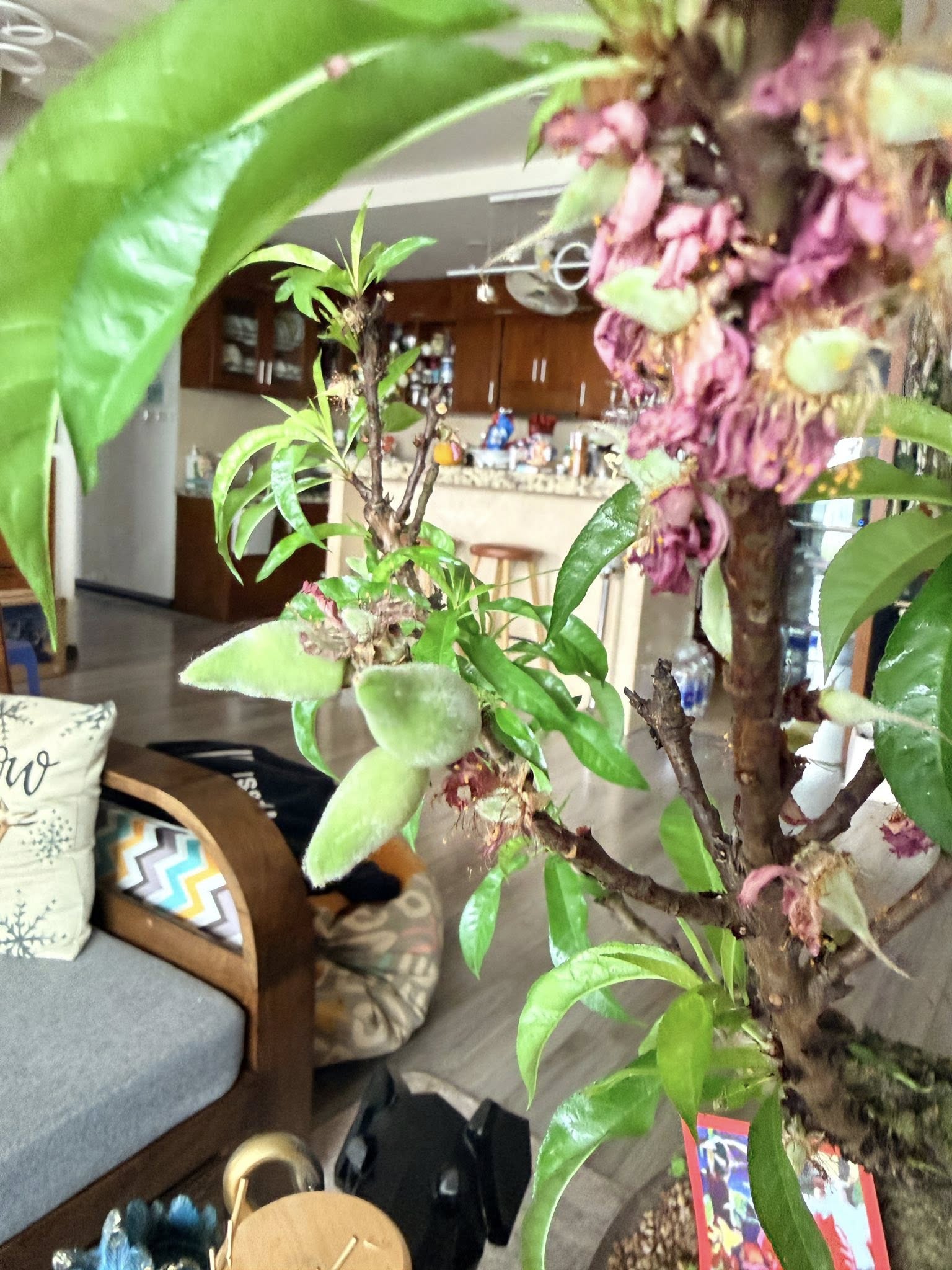 Từ góc phòng khách nhìn ra khu bếp.