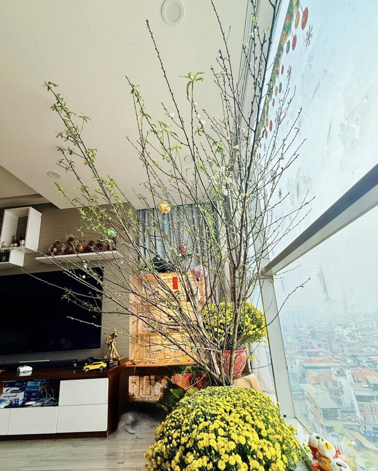 Khu vực tiếp khách được đặt cạnh hệ cửa kính trong suốt cỡ lớn, giúp không gian luôn ngập tràn ánh sáng tự nhiên và tạo cảm giác thoáng đãng hơn