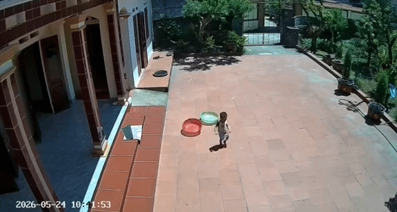 Em bé này buông vội rổ rá chạy vào trong nhà ngay. Nguồn: MXH.