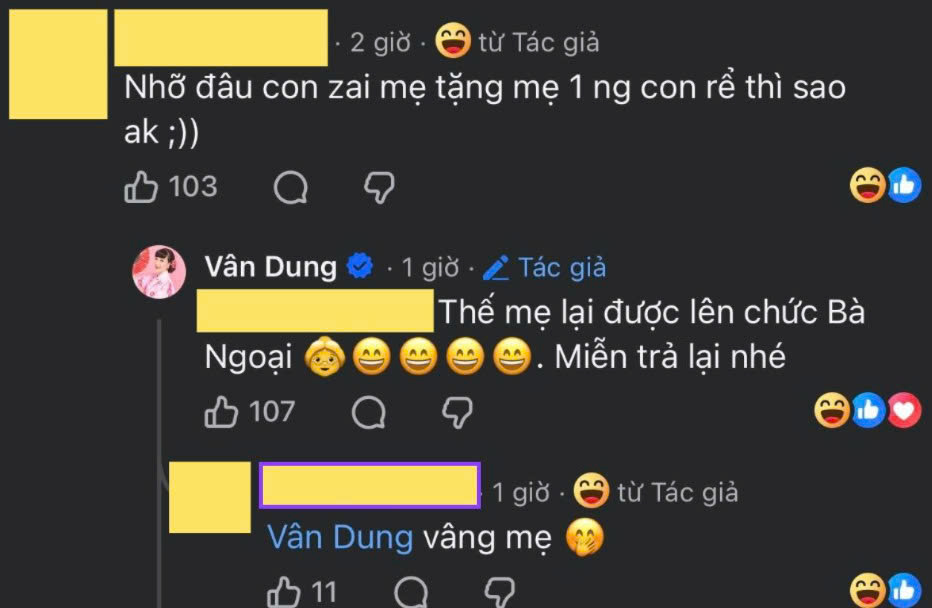   Bình luận của nghệ sĩ Vân Dung nhận được nhiều lời khen ngợi từ cộng đồng mạng. Ảnh: Chụp màn hình  