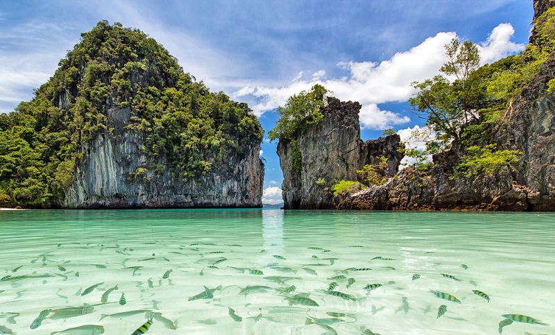 Bãi biển Patong
