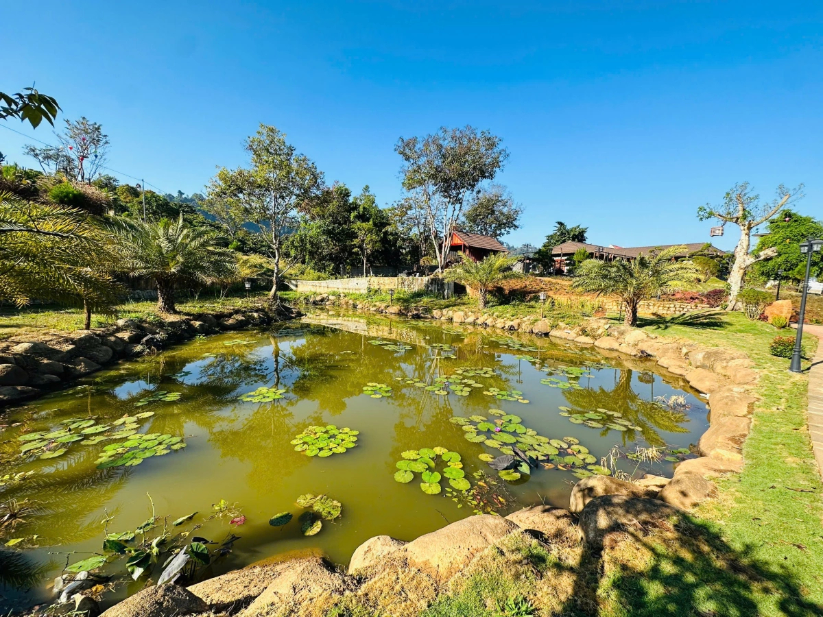 Xen giữa các khu nhà là những khoảng sân vườn được chăm chút kỹ lưỡng với hồ nước, cây xanh
