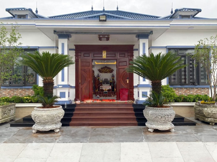 Lợi ích khi trồng cây vạn tuế