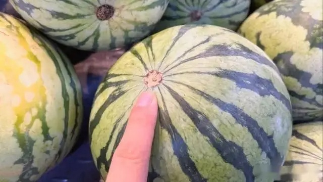 5 lời khuyên khi mua dưa hấu