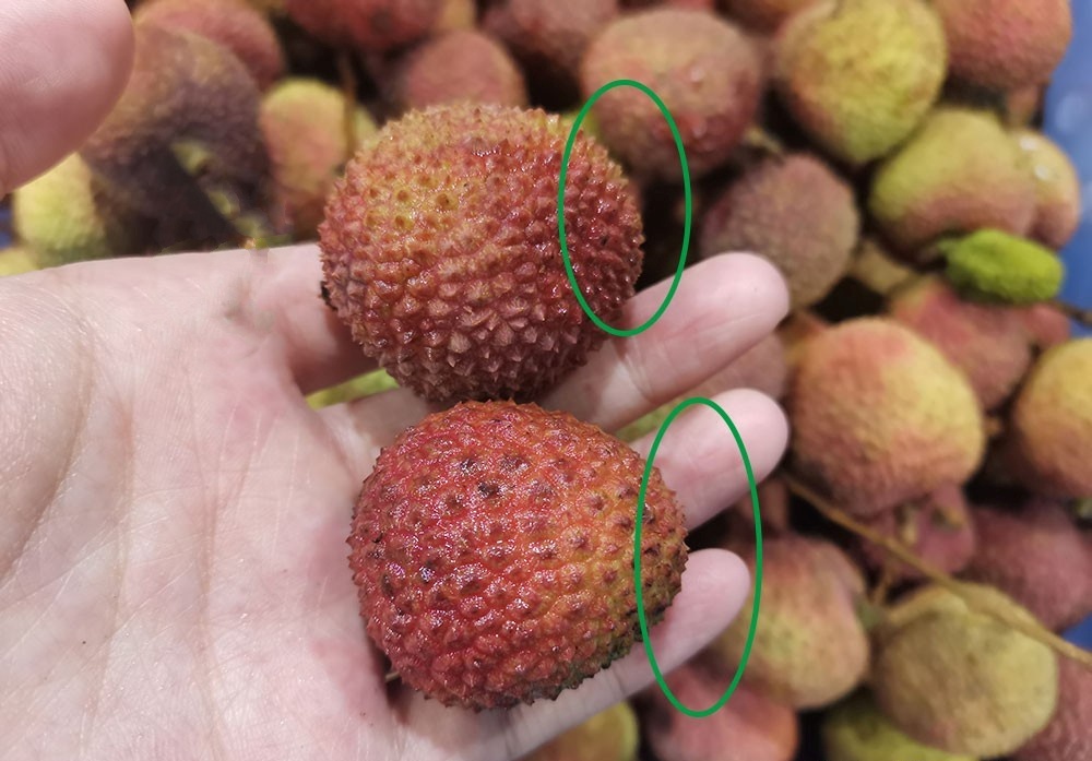 Lời khuyên khi mua vải