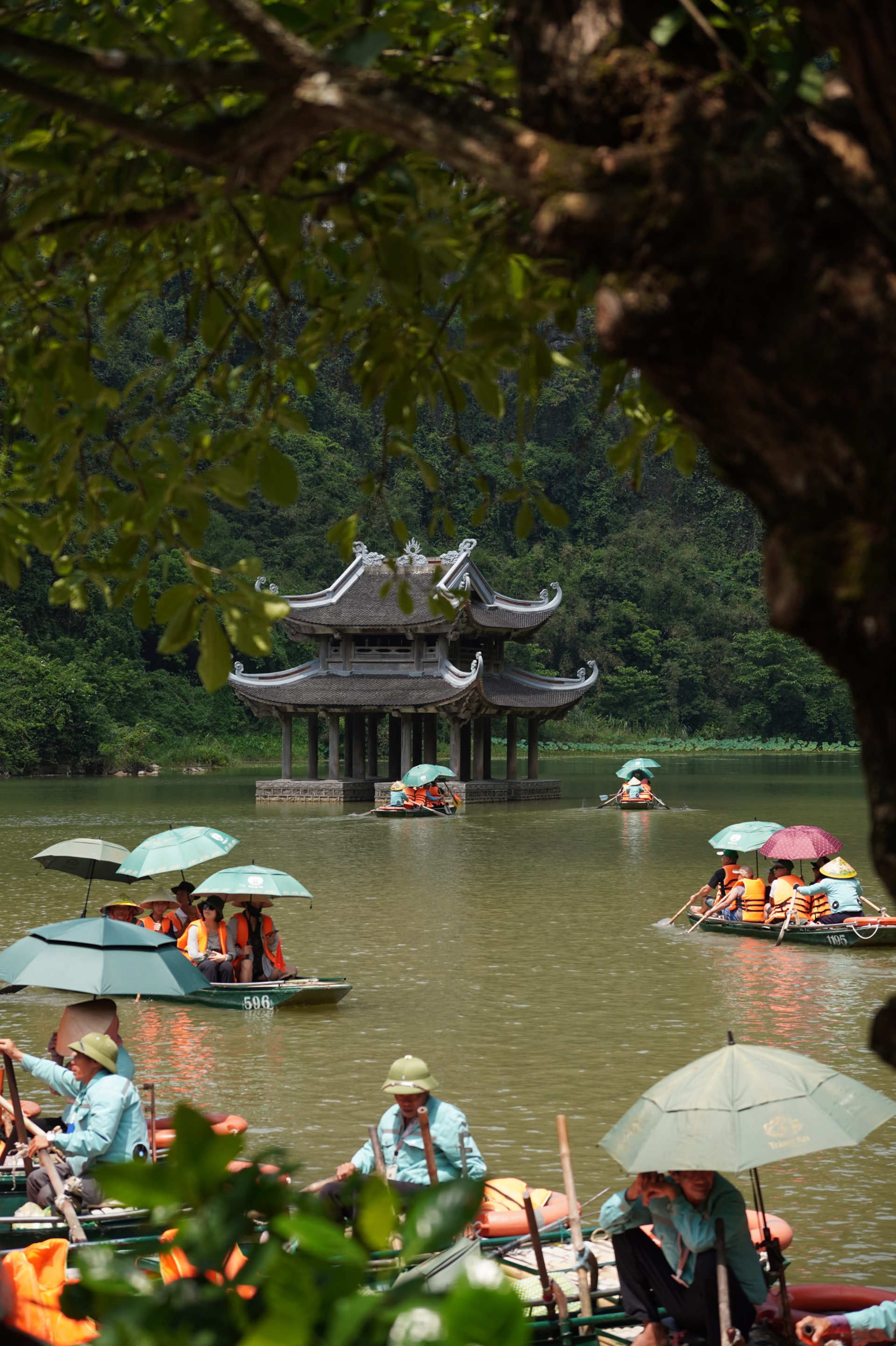 Nguồn: nguyenba7468