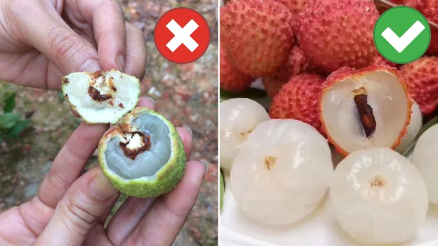 Lời khuyên khi mua vải