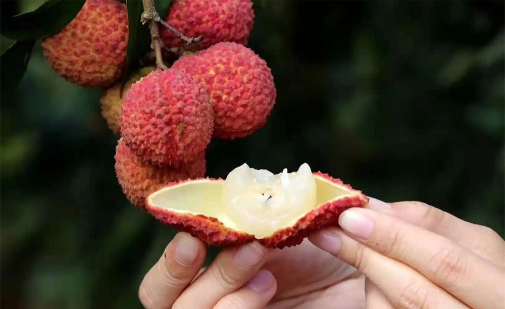 Lời khuyên khi mua vải