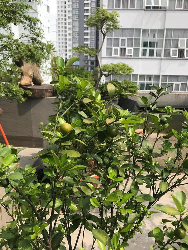“Mỹ nhân đắt giá nhất showbiz” ở biệt thự 30 tỷ ven sông giữa lòng Thảo Điền: Đẳng cấp thượng lưu là đây!