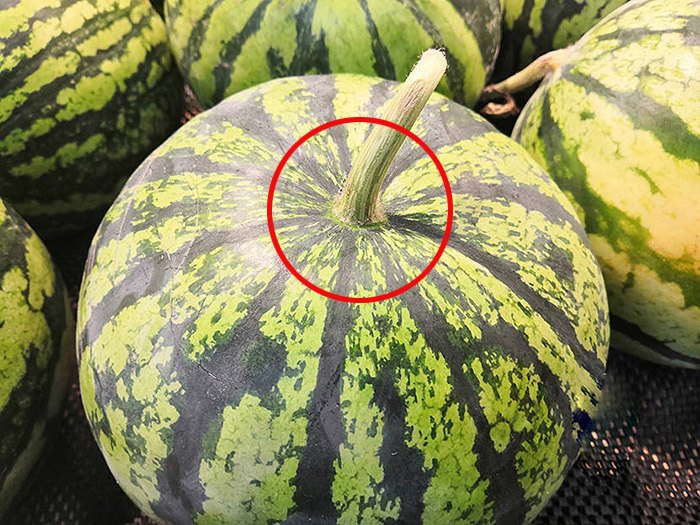 5 lời khuyên khi mua dưa hấu