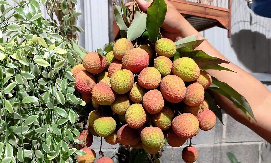 Lời khuyên khi mua vải