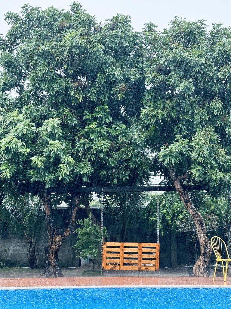Khuôn viên có bể bơi ngoài trời