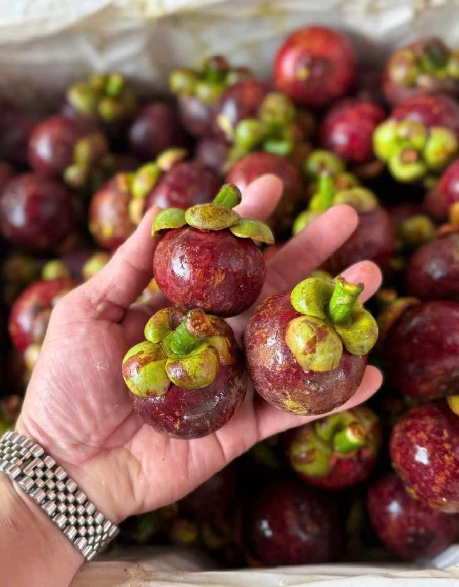 Loại quả được mệnh danh là 