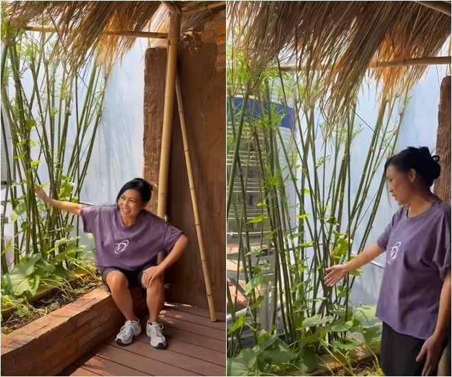 Để che khu vực bồn nước, Phương Thanh sử dụng tre trúc từ Long An tạo thành hàng rào chắn, mang đến không gian đậm chất thôn quê dân dã cho khu vườn của gia đình.