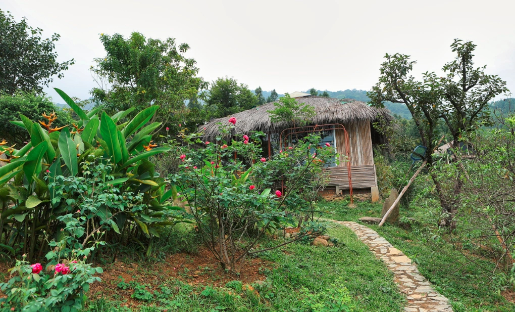 Hai bên lối đi bạt ngàn cây hoa cho không gian thêm phần sinh động 