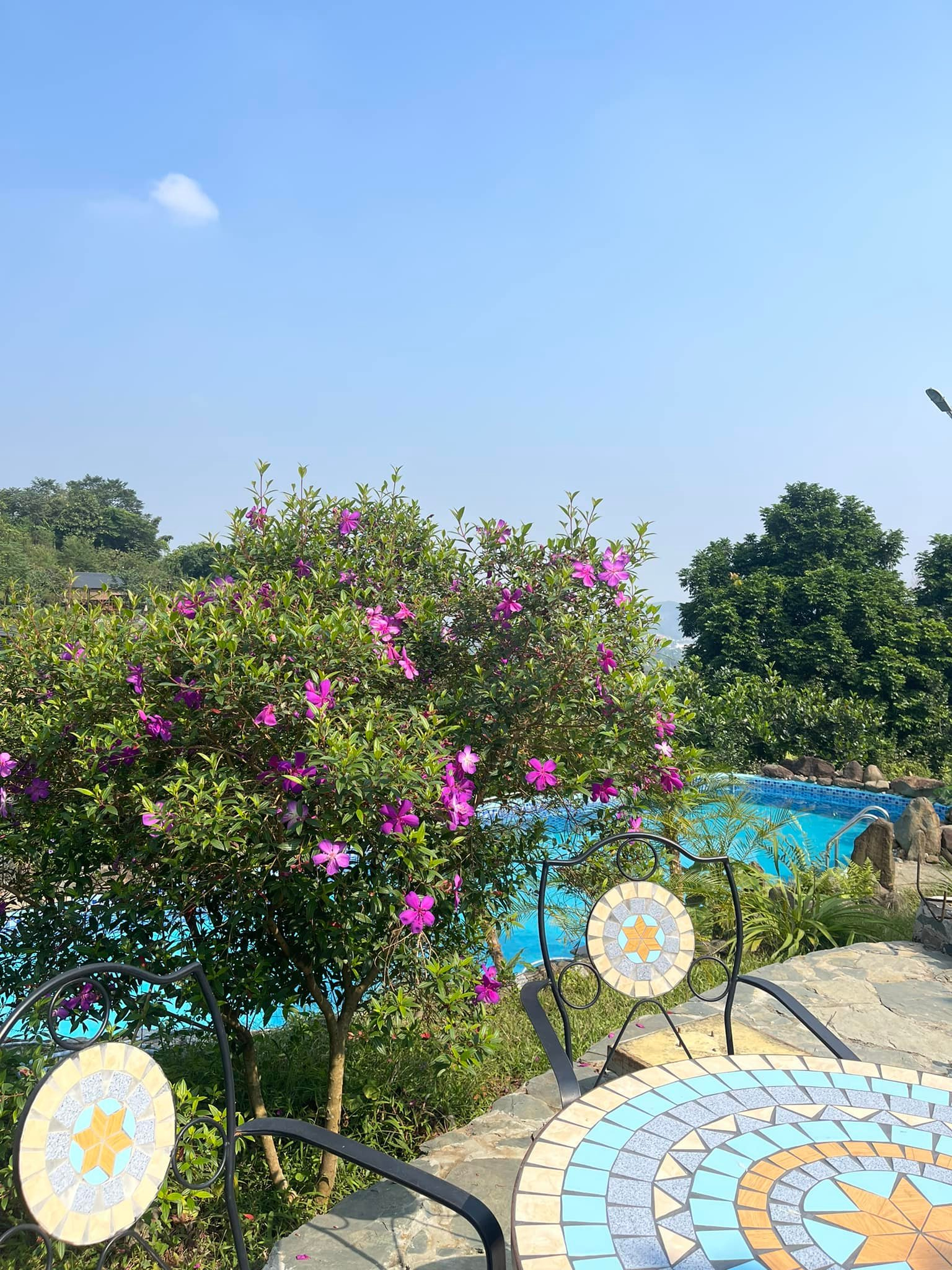 Không gian hồ bơi trong cơ ngơi của NSƯT Việt Hoàn