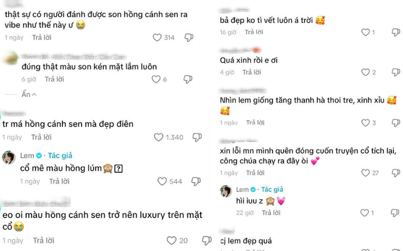 Netizen hoài nghi vì Lọ Lem
