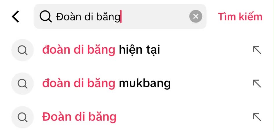 Đoàn Di Băng hiện tại