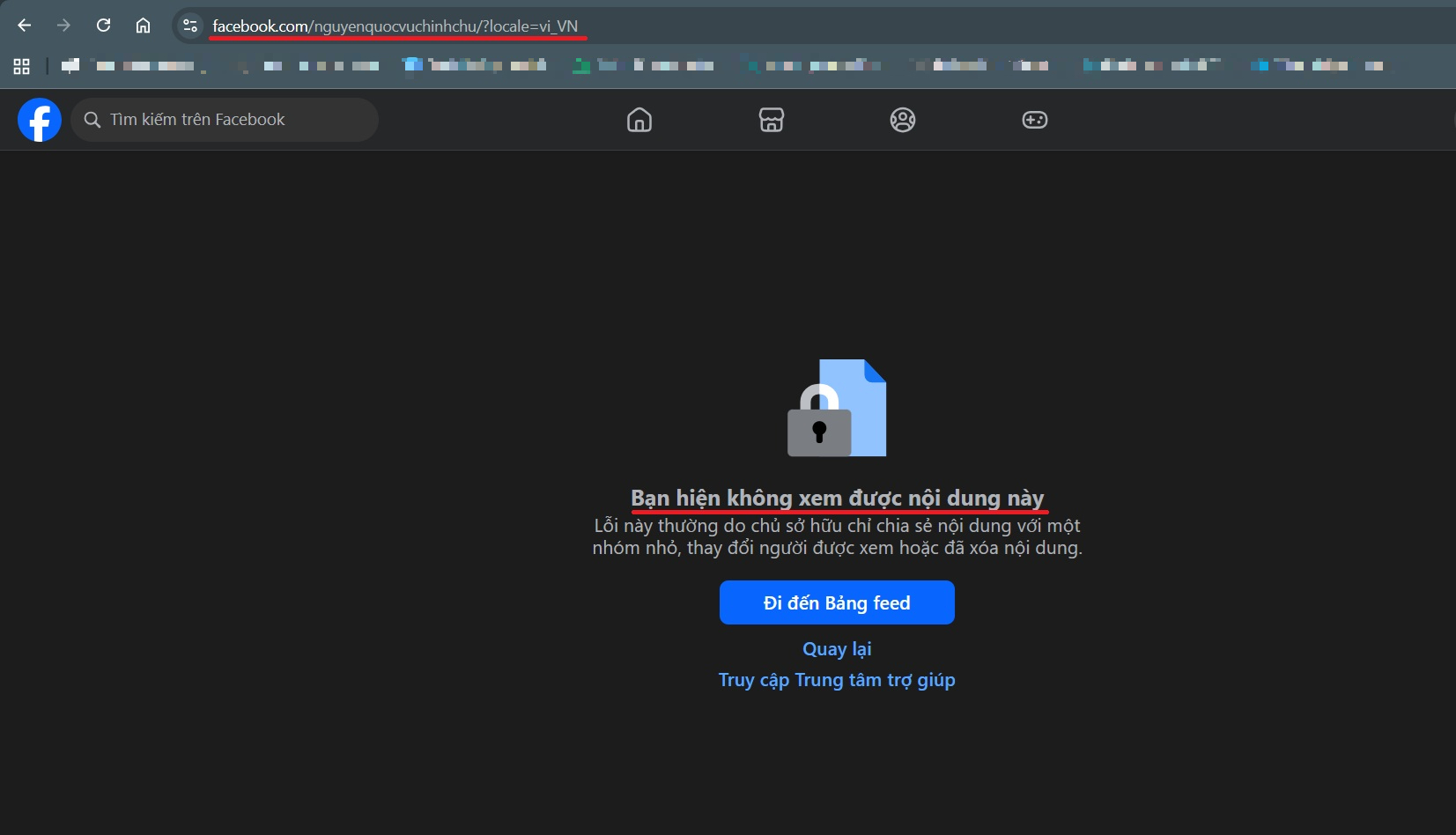 Cả Đoàn Di Băng và Nguyễn Quốc Vũ đều đã khoá Facebook