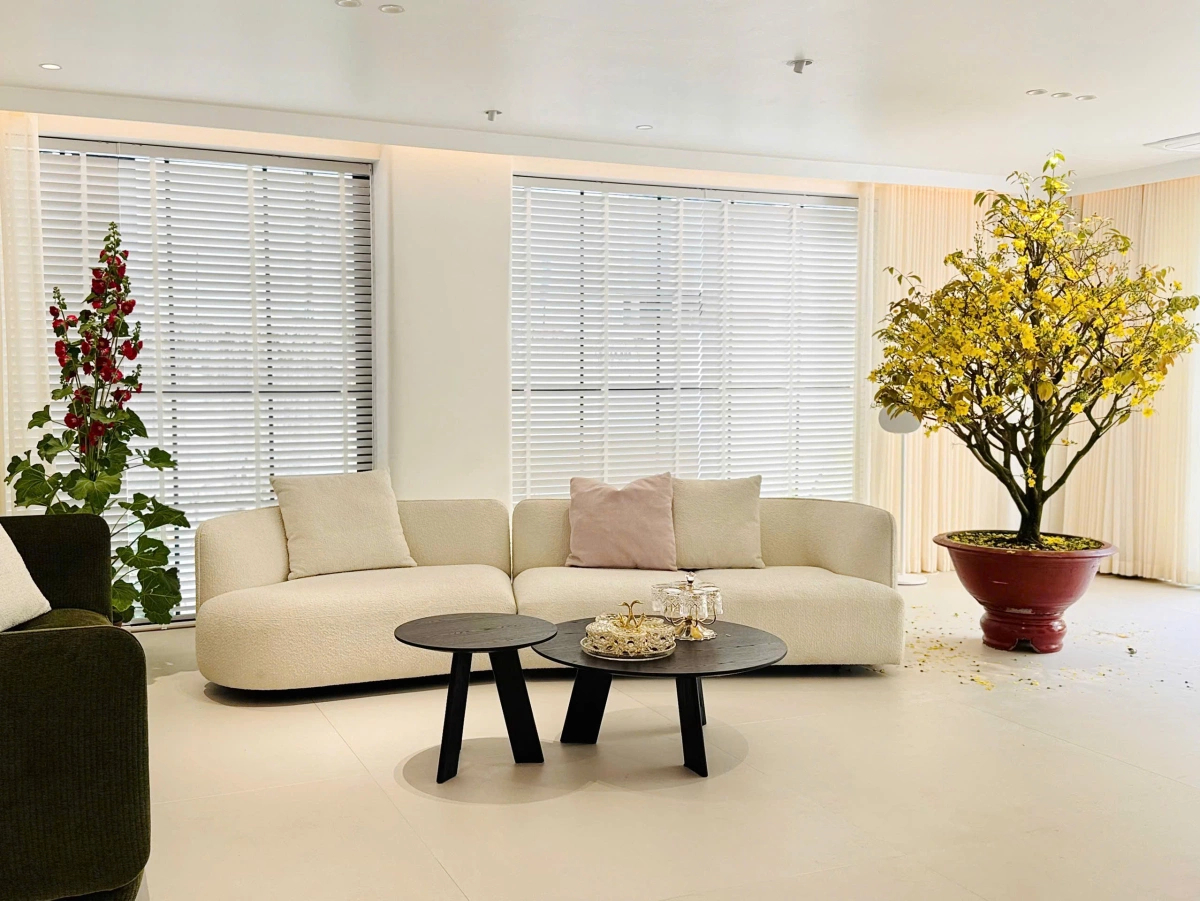 Bộ sofa màu trắng kem đơn giản, tinh tế