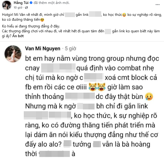 Hằng Túi nhắc thẳng tên, kèm ảnh chụp màn hình bình luận công kích của Mi Vân