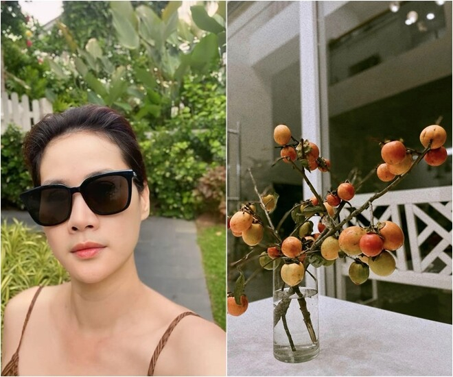 Trong khuôn viên biệt thự của Thân Thúy Hà, đi đến đâu cũng bắt gặp sắc xanh của cây cối xen lẫn hoa lá và rau quả, tạo nên một không gian sống chan hòa với thiên nhiên.