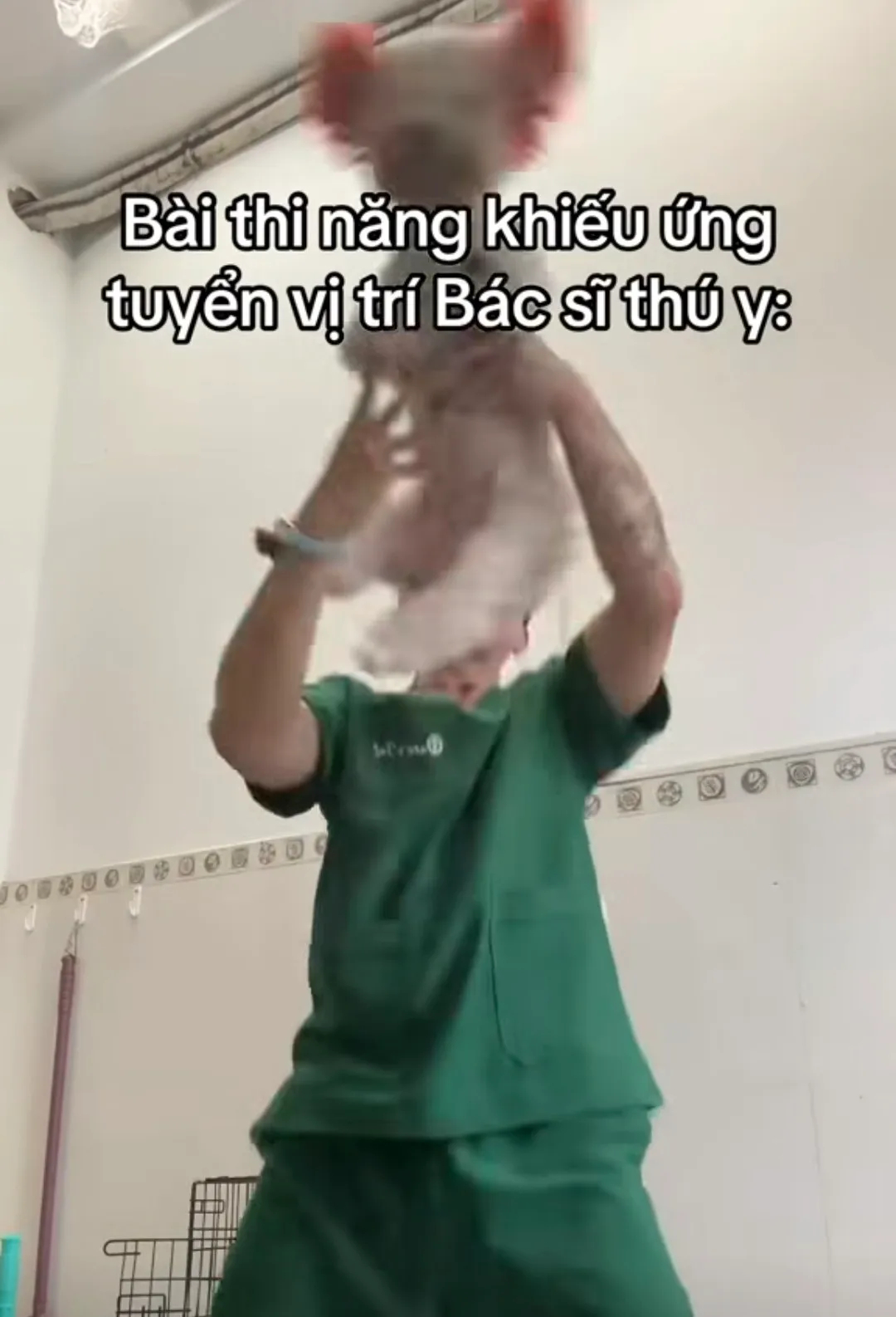 Bác sĩ thú y ở TP.HCM bị chỉ trích khi giày vò chó mèo ở phòng khám, càng lên tiếng càng gây phẫn nộ