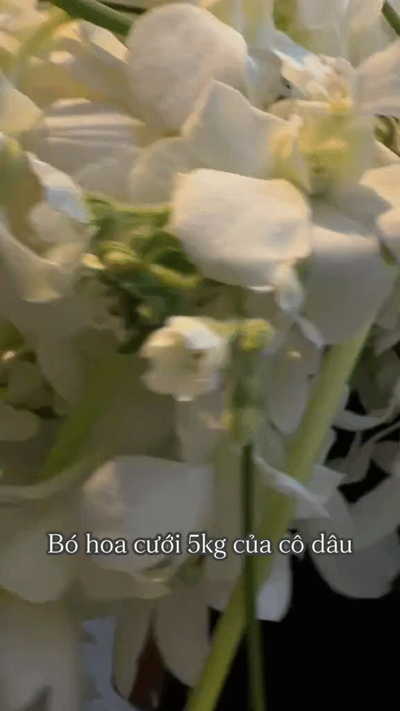 Cô dâu ôm bó hoa cưới nặng 5kg viral MXH: Tiểu thư Hà Tĩnh, đời thường cực xinh, style lại siêu cuốn