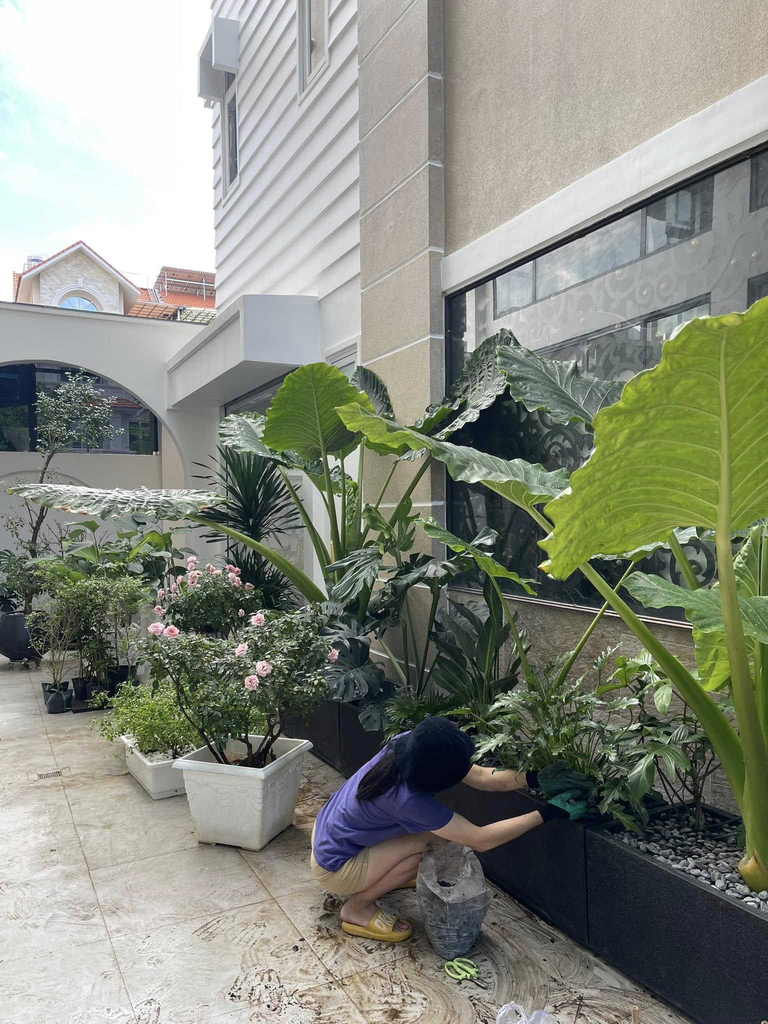 Là người yêu thiên nhiên nên khắp nơi trong biệt thự của gia đình Vân Trang đều ngập tràn cây hoa rực rỡ sắc màu