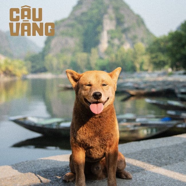 5 phim Việt Nam dở nhất mọi thời đại: Hạng 1 là đỉnh cao của thảm họa, ai chưa xem là quá may mắn