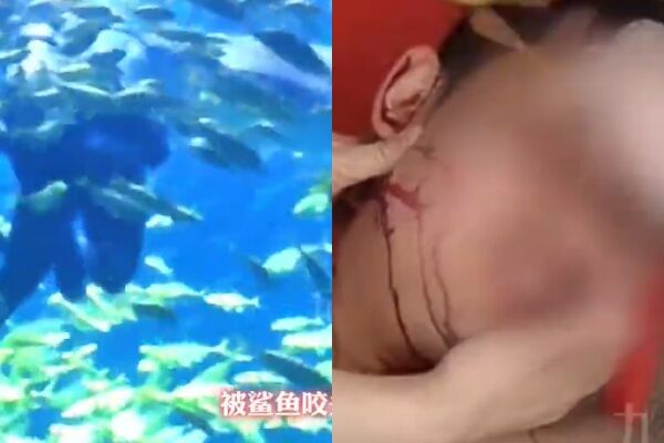 Vụ việc khiến du khách vô cùng bức xúc