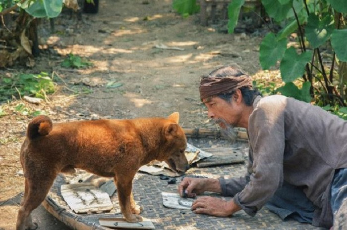 5 phim Việt Nam dở nhất mọi thời đại: Hạng 1 là đỉnh cao của thảm họa, ai chưa xem là quá may mắn